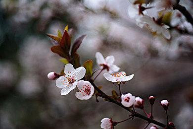 美国3月游玩时长榜：Steam上《绝地潜兵2》最热门